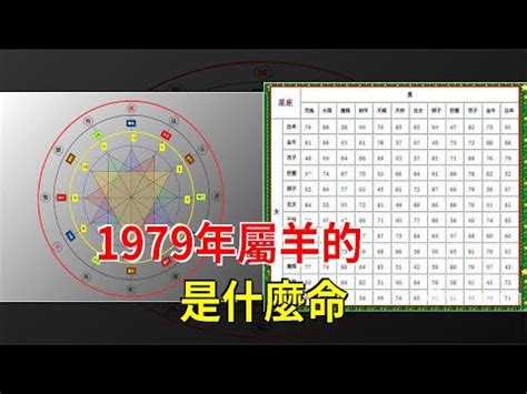 1979年五行屬什麼|【1979年生肖五行】1979年生肖五行：解析屬羊者的。